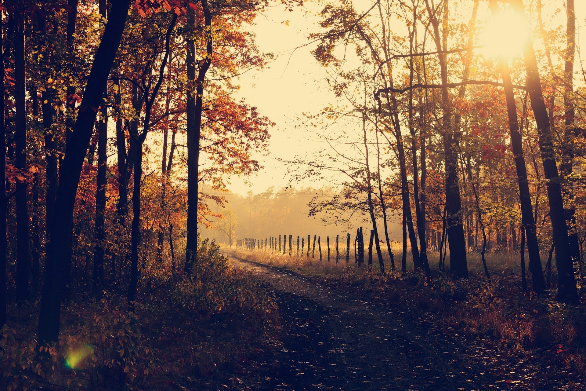 Kollektion 001 / Herbst